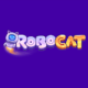 RoboCat