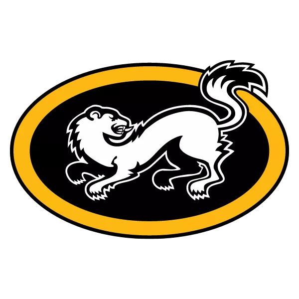 Oulun Kärpät