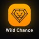 Wild Chance